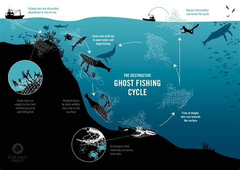 ghost fishing|These entrepreneurs make surfboards from old fishing nets.